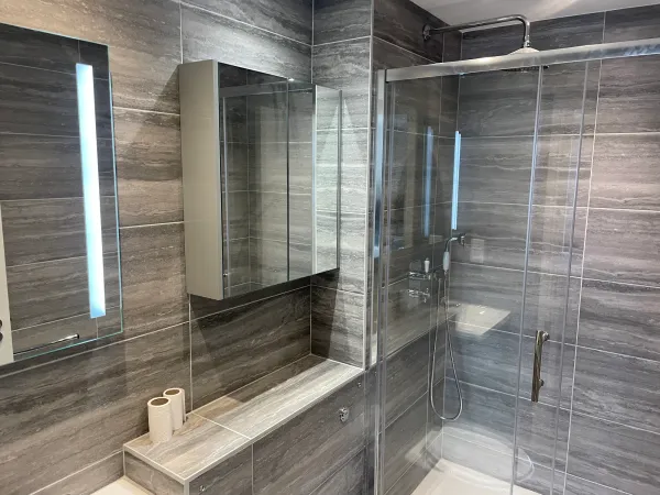 Illuminated mirror and glass shower enclosure